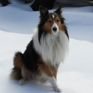 Hi everyone, I'm Kaitlyn!